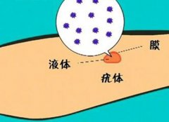 扁平疣的传染方式